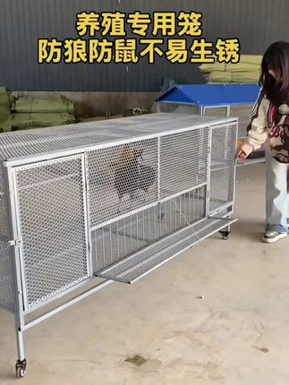 鸡笼家用室外大号防鼠鸡舍家禽加密防黄鼠狼养殖笼滚蛋鸭笼鹅笼#鸡笼加家用室外大号 #防鼠鸡舍家禽加密 #防黄鼠狼养殖笼 #鸭笼鹅笼推荐