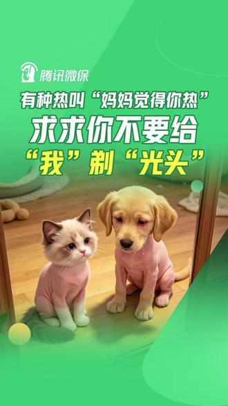 别再给你家狗子剃光头了!它真的会抑郁! 夏季正确降温指南来了!#夏季降温#宠物散热#宠物保险#腾讯微保