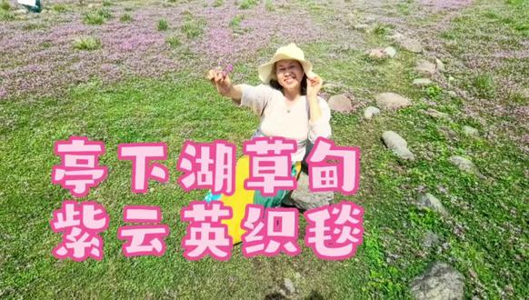 亭下湖草甸 紫云英织毯