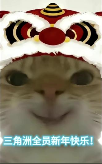 祝各位干员新年顺顺利利,天天出红#三角洲行动 #新年快乐