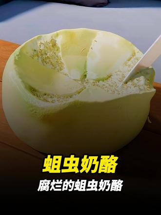 腐烂的蛆虫奶酪 #知识科普#科普#科普一下