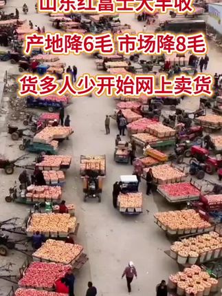 #山东红富士大丰收#好吃#香甜可口