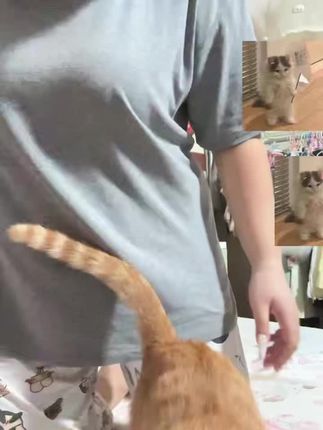 #抽屉便装 OK 也是被我擦上了#bbw