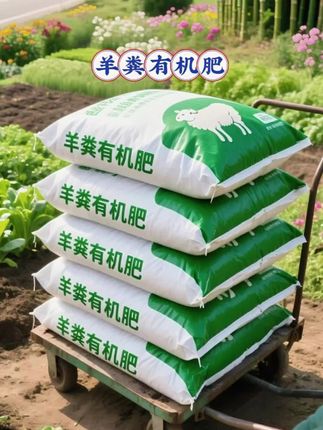 羊粪发酵有机肥 土地没活力?“黑金”羊粪肥来救场! 专为焕活贫瘠土地而生!历经180天高温发酵,不仅彻底杀灭虫卵病菌,杜绝烧苗风险,还能保留自然泥土清香,用着更安心。 富含充足腐殖质与全面微量元素,深入滋养作物根系,助力幼苗茁壮成长,长势看得见!针对板结、泛碱等土壤问题,它能有效松地改土,增强土壤透气性与保水性,大幅提升作物抗逆能力。 无论是菜园种菜、草坪养护,还是盆栽、花卉培育,通通适用!颗粒细腻易撒施,搭配防潮包装,锁肥性强,施肥时干净无扬尘,轻松打理不脏手。 用好肥,养沃土,收获满满好硕果! #羊粪 #颗粒有机肥 #羊粪发酵有机肥 #有机羊粪 #抖音助农