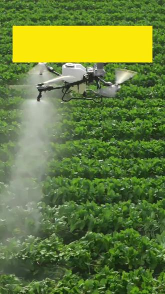 大疆T100S固件更新了,还没有更新的飞友们看过来。 固件版本号:V 01.27.00.06#大疆T100S #无人机飞防 #无人机打药 #无人机植保