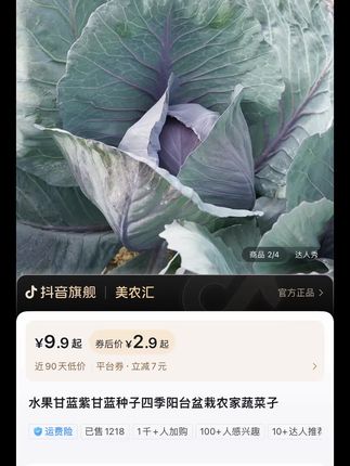 在家种菜