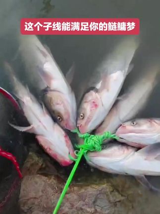 #钓鱼就选云飞鱼 #钓友 #钓鱼 #钓鲢鳙