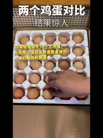 我的天!竟然花30来块抢到50个“土鸡蛋”,这运气也太绝了吧~💥
一个是土鸡蛋,一个是我早上刚从超市买回来的普通鸡蛋,专门拿来给大家做对比的~🥚
特意拍了对比视频,视频里两个鸡蛋放一起,新鲜度和品质差距一眼就能看出来!完全不掺假啊~