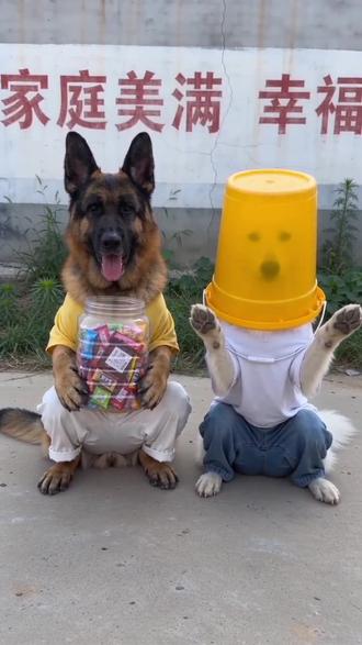 #AI求零食的意外结局 #随变ai随便玩 太搞笑了@土锤是只德牧🌞