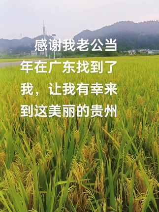 感谢我老公当年在广东找到了我,让我有幸来到这美丽的贵州#贵州 #远嫁 #我的乡村生活 #住进风景里 #夏天该有的样子