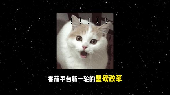 番茄重拳出击,AI还能辅助写小说吗?你有被误伤吗? #小说#ai写作#番茄小说#小说违规#新手作者
