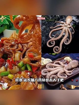 长腿八爪鱼 500g*2袋 到手2斤 一袋3到6条生鲜京东发货D#好用#热门 #爆款推荐