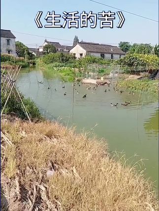 #生活的苦只有经历过的人才懂
