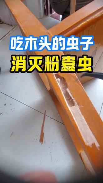 吃木头的虫子 粉蠹虫怎么消灭 晚上听到粉蠹虫吱吱吱的声音,它是藏在木材里的“挖隧道高手”,家具表面还好,实则一戳就烂、一敲就空。危害不输白蚁,少量的话:看粉末、找洞、注药液。#粉蠹虫 #吃木头的虫子 #粉蠹虫怎么消灭 #粉蠹虫的危害 #粉蠹虫杀虫剂