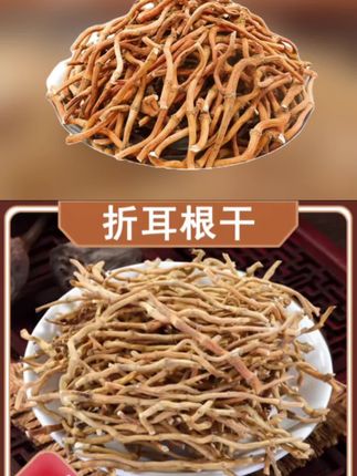 #折耳根