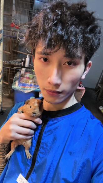来看新的小猪咯 #豚鼠 #豚鼠日常 #宠物食品 #宠萌界