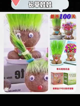 开花长草娃娃草头花头盆栽室内桌面创意迷你水培绿植儿童趣味观察#盆栽娃娃草 #草头娃娃网红盆栽 #草娃娃小盆栽 #绿植盆栽