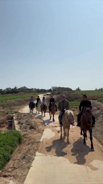 马年,拍马腿顺风又顺水💰💰💰