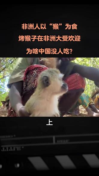 非洲人以“猴”为食,烤猴子在非洲大受欢迎,为啥中国没人吃? #涨知识#科普#科普知识#保护动物#内容启发搜索