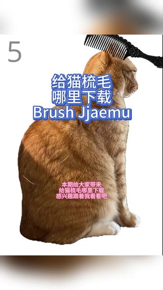 @光环助手APP #光环助手 给猫梳毛哪里下载 Brush Jjaemu怎么玩到 #给猫梳毛 #BrushJjaemu #恐怖游戏 #休闲游戏