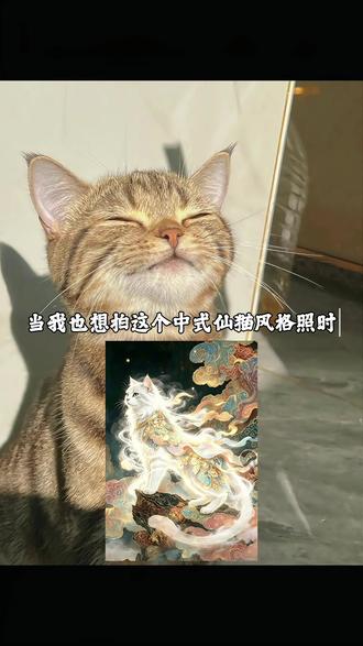 Ai中式仙猫风格指令 ai中式仙猫风格 ai中式仙猫风格P图 鎏金云浪!玳瑁卧风!ai中式仙猫口令 小猫仙人特效制作 中式仙猫模板 狸花猫 暹罗猫 玄猫 银渐层 #中式仙猫风格 #仙猫 #猫特效 #小云雀AI #小云雀AI一键图片设计
