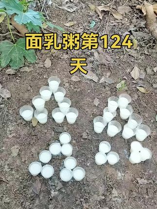 福报 福德回向#福报不是求来的是修来的 #面乳粥