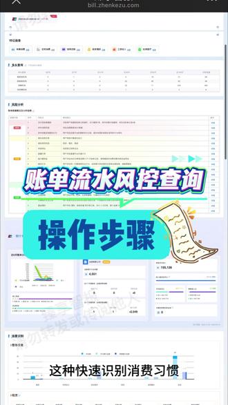 账单流水风控报告查询步骤详解#账单 #银行 #风控 #查账