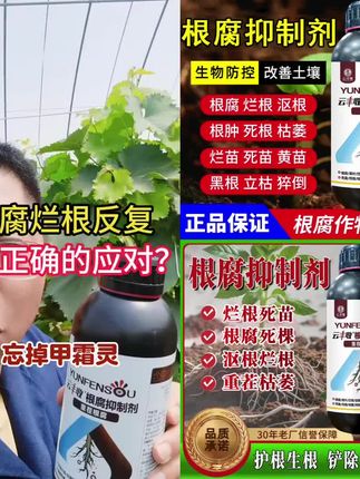 根腐抑制剂防根腐烂根死棵茎基腐生根壮根改土防土传病害#农业种植#生根壮苗#爆款热卖中#厂家直发#超便宜超划算