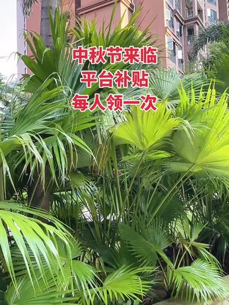 #好用的大包纸巾推荐 #心相印抽纸推荐 #超便宜超划算 #薅羊毛的快乐 #家用抽纸 @DOU+上热门 @抖加🔥上热门🔥dou+🔥热点宝