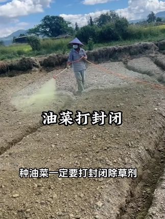 #油菜种植 #苗前封闭除草剂