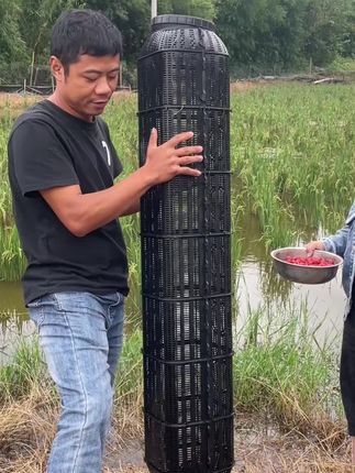 #捕鱼网笼推荐#户外抓鱼逮虾#我的乡村生活
