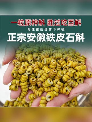 正宗安徽五年生铁皮石斛粉枫斗林下种植霍山县 现场代磨粉养生#铁皮石斛#安徽铁皮石斛#枫斗