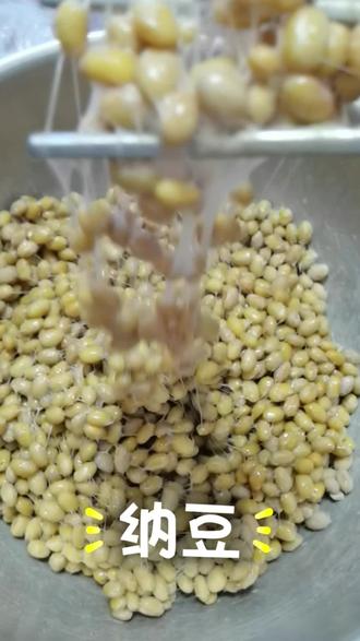 纳豆~自制纳豆一次成功,原来做法如此简单#纳豆 #纳豆做法 #自制美食