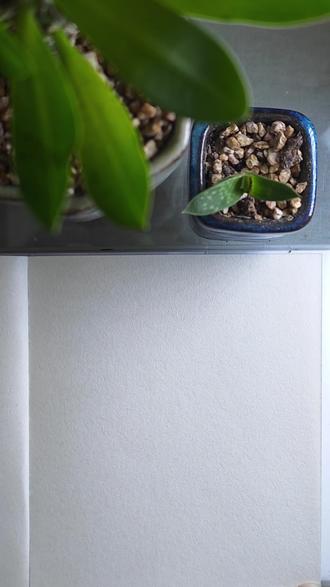 今天分享一只简笔画蝗虫
保姆级的步骤哦
点击收藏评论区打卡
晶晶老师有小礼物奖励哦#简笔画原创