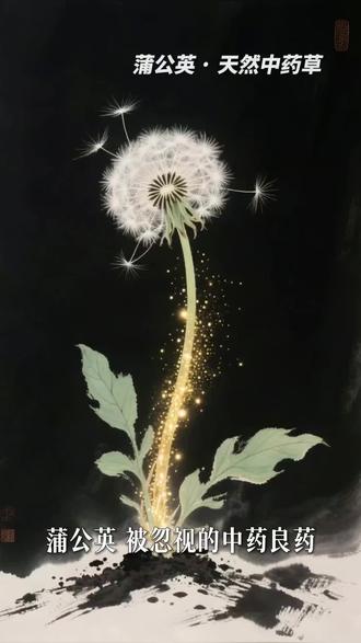 中医说的“排毒草”——蒲公英 春天别再把蒲公英当杂草了!
它是真正的中药草:
✅ 清热解毒
✅ 消肿散结
✅ 利尿通淋
✅ 清肝降火
用法简单,泡水喝就行~#中药科普#养生日常#清热降火#蒲公英#AI小神农