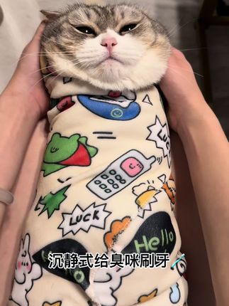 #猫咪#铲屎官的乐趣 #猫咪牙结石#猫咪刷牙 #猫咪的迷惑行为 刷完变成小香咪了😘