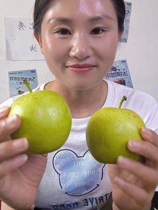 砀山梨脆甜多汁,皮非常薄,坏果、烂果包赔,现摘现发新鲜到家,顺风包邮#应季水果 #农产品 #快来一起尝个鲜 #助农水果 @DOU+小助手