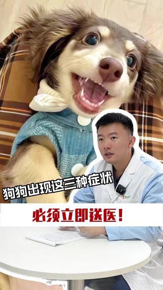 这三种情况如果出现 立刻把狗狗送到医院 #科学养宠攻略 #养宠进阶指南 #沈阳宠物医生