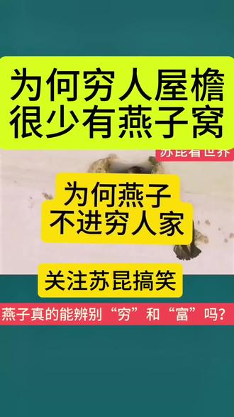 为什么中国人不吃燕子,
#为什么燕子不在穷人家搭窝