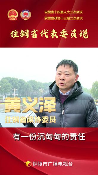 住铜省代表委员说(二)(记者 张珉) #安徽省两会