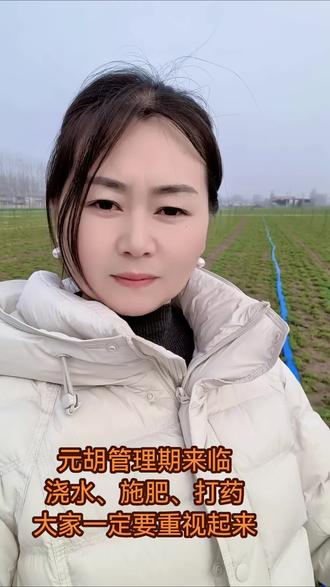 河南元胡长势同期比不上去年