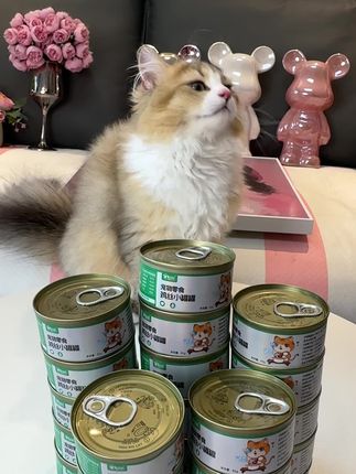 这么热的天给猫咪来罐鸡丝汤罐,补水又营养长肉发腮#家宠日记 #鸡丝汤罐 #猫咪好物 #新手养猫