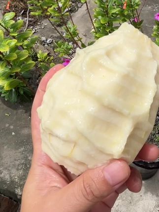 一年一季的白心奶油芭乐又来了,诺诺叽叽超好吃#奶油芭乐#芭乐带你飞 #低糖水果#孕妇水果