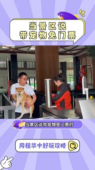 当景区说带宠物免门票时 #河南 #洛阳白云山 #宠物 #河南旅游#同程旅行