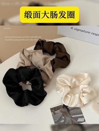韩版缎面大肠发圈,女发绳高级感气质简约马尾扎头皮筋头绳发饰 #头饰发饰 #好物推荐 #爆款热卖中 #我要上热门 #缎面大肠发圈 缎面大肠发圈新款精致耐用发绳显白少女扎发韩系气质时尚质感设计