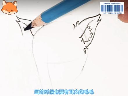 狐狸耳朵画法来啦 #绘画#狐狸#oc