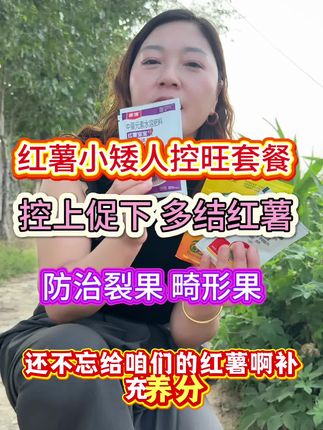 红薯控旺小矮人套餐#红薯增产增收 #厂家直发品质保证 #沃巴盾农业