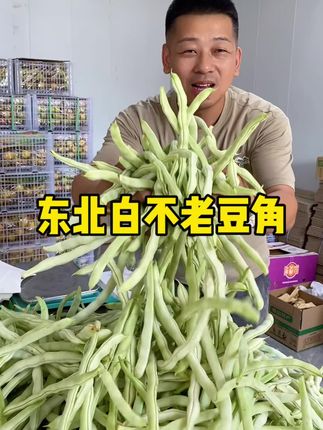 东北露天豆角豆角#优质农产品 #新鲜蔬菜 #豆角 #白芸豆