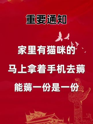 弗列加特0乳糖冻干罐#弗列加特 #猫咪冻干 #猫咪冻干零食推荐 #猫咪 #猫零食
