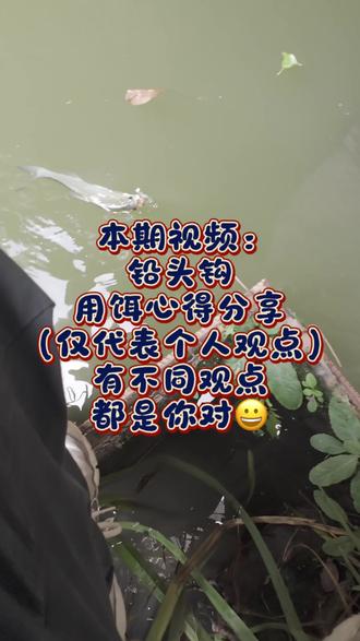 你们之子狗钓不上来的鱼,我们铅头钩来钓🤣🤣 #教你路亚钓鱼小技巧 #创作者中心 #创作灵感 #就是玩 #路亚 @May